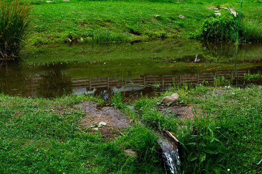 View of a small stream flowing through the lush green landscape of Garfagnana in Provincia di Lucca, Toscana, Italy.