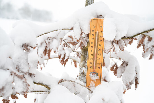 Thermometer in snow covered oak tree, landscape in cold frosty weather, forecast in winter, measure the temperature