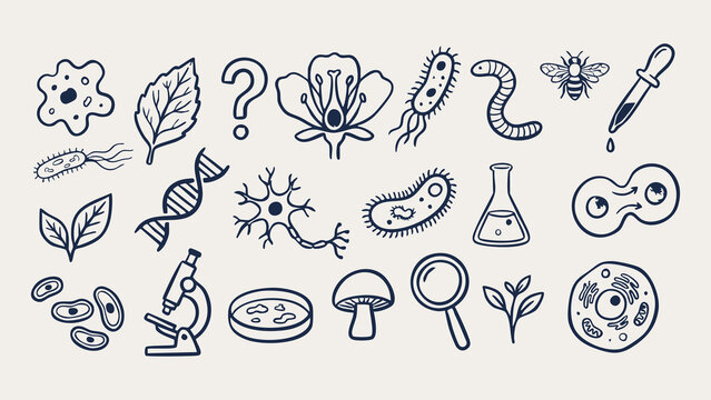 Biology science doodle icon set, hand drawn cell, DNA strand, microscope, neuron, bacteria, mushroom, petri dish and flower anatomy, education stem illustration bundle