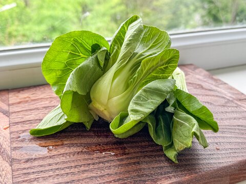 Fresh organic bok choy cabbage on a neutral background, healthy green leafy vegetable for asian cuisine