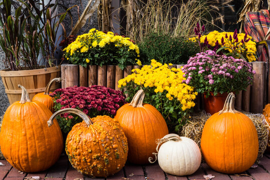 Rustic outdoor autumn decoration displayed ahead of the Halloween and Thanksgiving harvest season, featuring pumpkins and flowers.  Concept of fall photo booth, seasonal decor, farm market.