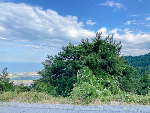 Admiring the roadside landscapes from the car window while climbing Mount Olympus.