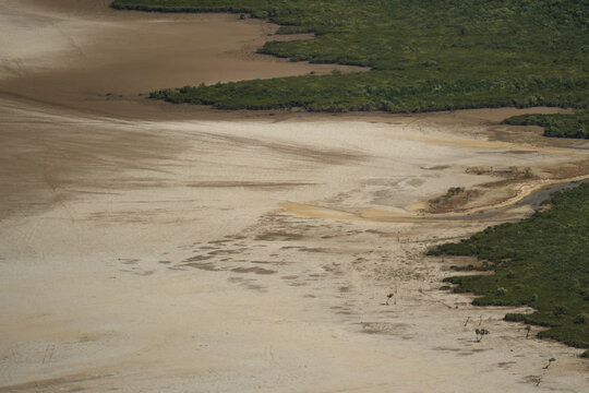 View of the sandy mudflats and mangrove forests near French Mountain in Antsiranana, Diana, Madagascar.