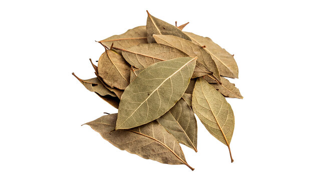 Heap of aromatic dried bay leaves spice isolated on transparent background.