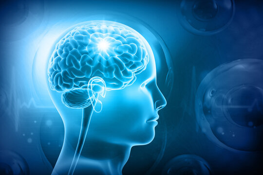 Three-dimensional illustration of human brain and head anatomy positioned against a glowing scientific blue abstract background.
