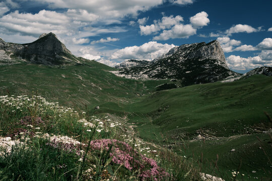 View of the dramatic limestone peaks and lush green meadows of Durmitor National Park, featuring vibrant wildflowers in the foreground under a bright blue sky in Montenegro.