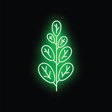 Outline of moringa leaves glowing with green light against a dark background