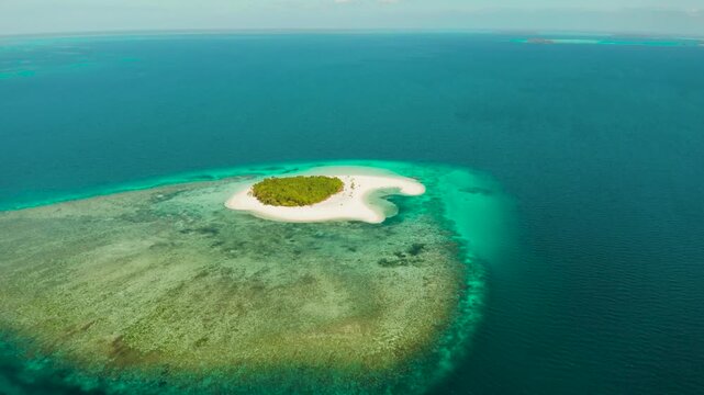 Island with beautiful beach, palm trees by turquoise water view from above. Patawan island with sandy beach. Summer and travel vacation concept.