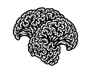 Fototapeta premium Cockscomb flower head icon, abstract organic black white graphic