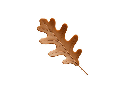 Brown oak leaf with rounded lobes and a curved stem, isolated on transparent background