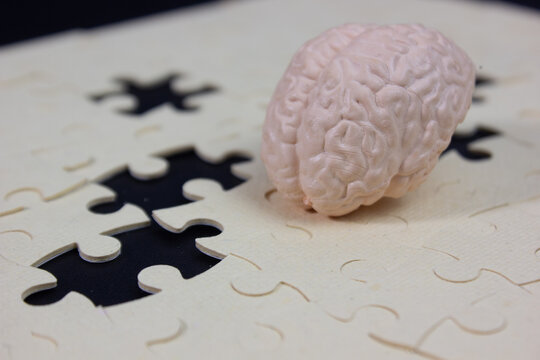 eye leve of a miniature brain and puzzle pieces, symbolizing the thinking process, memory, cognitive ability, problem solving, mental focus, intelligence, learning, brain health, and the connection be