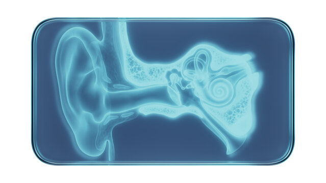 Glass Frame with X-Ray Human Ears Medical Illustration