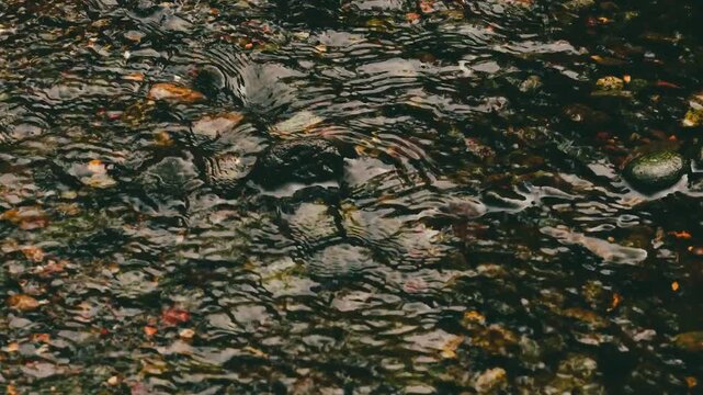 Rippling River Water Current Over Pebbles and Rocks Background