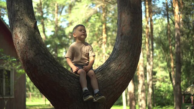 Little Child Sitting on a Tree Branch Fork in Nature, Camera Moves with a Pan Shot