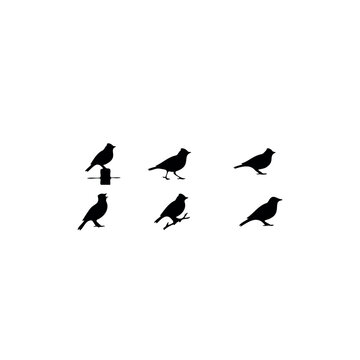 White lark bird silhouette icon vector illustration.

