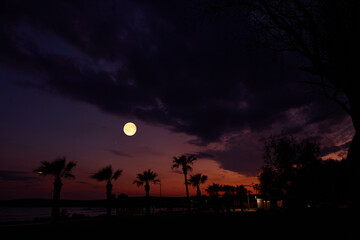 Full Moon with tropical silhouettes. © astrosystem