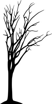 Arbre noir &agrave; branches nues 