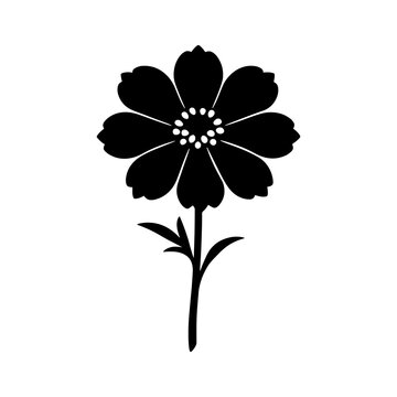 Cosmos flower silhouette on a white background simple botanical illustration for design projects
