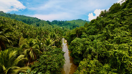 Lush tropical river in dense palm valley. Elevated landscape photography capturing the vibrant green jungle canopy under a bright sky. © Houston