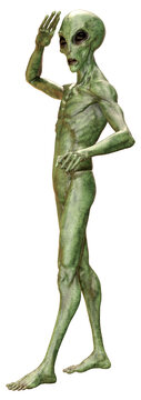 3D Rendering Green Alien on White