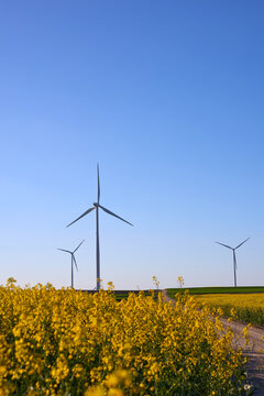 Wind turbines at sunset in green field &ndash; renewable energy, clean power, sustainable future.