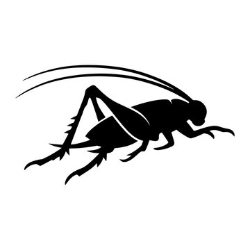 Black silhouette of a jumping grasshopper on a white background insect illustration