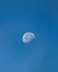Daytime Moon in Blue Sky © Mihail