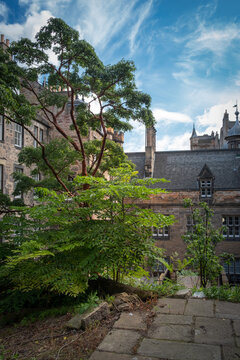 Quiet and treed space in midst of Edinbugh bustle