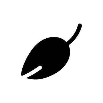 Olive branch silhouette on a white background simple black vector illustration of a fruit