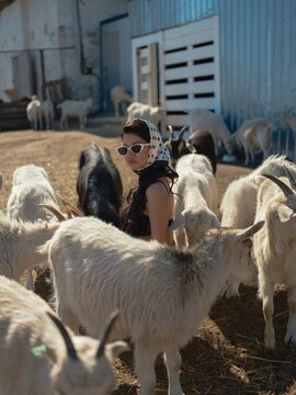 Asian woman crouching surrounded by goats on farm yard