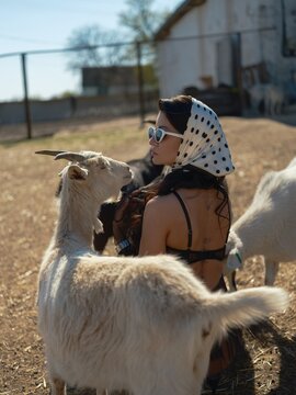 Asian woman crouching surrounded by goats on farm yard