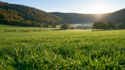 Fototapeta premium Morning Sunlight Over The Velka Pardubicka Horse Racing Meadow With Lush Green Grass Fields