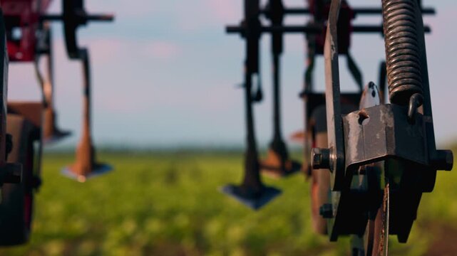 Agricultural Inter-row cultivator performing mechanical cultivation and weed control between rows of young sunflower plants in an agricultural field during the early growing season. slow motion video