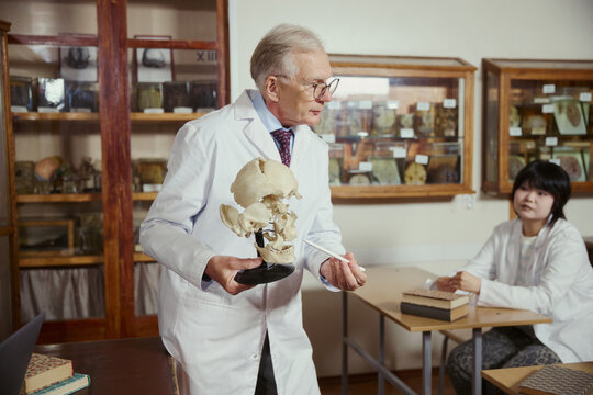 Senior Caucasian male professor holding human skull model and teaching young Asian female student in university anatomy lab. Ideal for medical education and university marketing