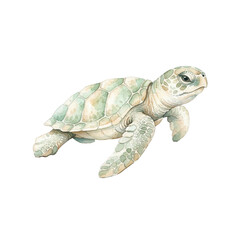 Fototapeta premium Cute baby sea turtle crawling watercolor illustration isolated on black background