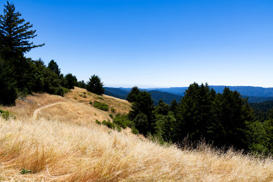 Hiking trail along dry grassy slope overlooking forested mountains in California