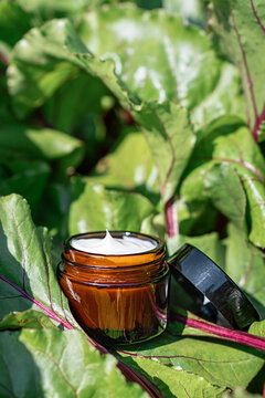 Cosmetic cream in an amber glass jar stands among large green beet leaves with burgundy veins, nearby, in natural sunlight. Natural and organic approach to skincare