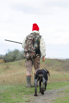 A hunter with his dogs, a spaniel and a german pointer, walk along the reeds in search of a pheasant.