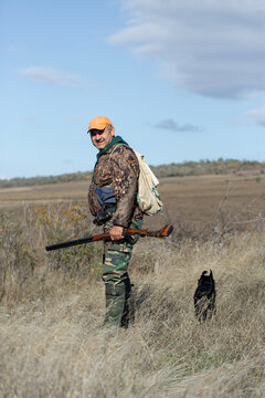 A hunter with a gun and his pet dogs. A spaniel and a german wirehaired pointer drathaar in search of a pheasant.