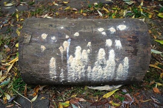 Woodworms in a chopping block