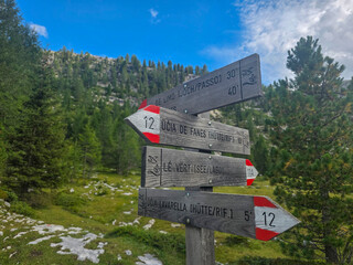 Fototapeta premium Fanes Dolomites valley Wooden trail signpost pointing directions along a mountain hiking path surrounded by alpine forest, rocky meadow and distant ridgeline under a bright blue sky
