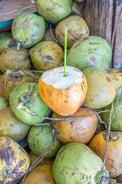 Exotic coconut prepared as a refreshing drink, with straw inserted, tropical symbol of natural hydration, summer, and healthy lifestyle.