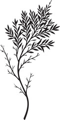 Obraz premium Decorative black silhouette of a thin leafy plant sprig with silhouette botanical illustration isolated decoration abstract