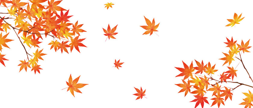 autumn leaves background-Stylish vector frame with beautiful red autumn leaves on a white background