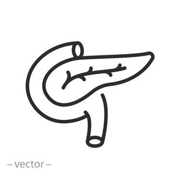 pancreas icon, black linear vector illustration