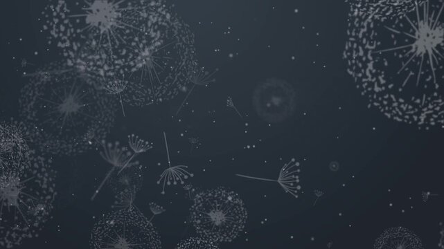 Dandelions in Different Growth Stages Swaying Against Dark Hazy Backdrop for Cinematic Abstract Spring Motion Graphics