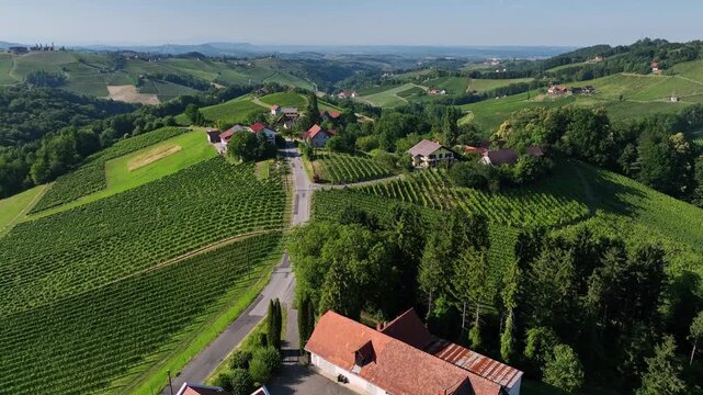 Summer drone footage shows Styria vineyards glowing in sunset light, rolling hills covered in green rows, warm atmosphere, calm landscape, smooth motion capturing quiet beauty of wine country.