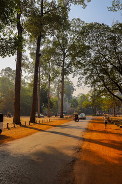 Krong Siem Reap, Siem Reap Province, Cambodia - 04 February 2020: View of the road leading to Angkor Wat with tall trees, a tuk-tuk, and a pedestrian on a sunny day.