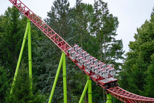 Red roller coaster car climbs a steep metal track surrounded by tall green pine trees during an exciting day at an amusement park