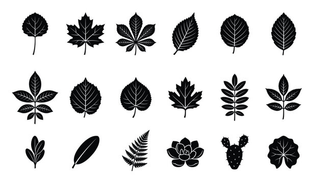 Set of leaf icons. Tree foliage, plant shapes, nature silhouettes, botanical elements, natural design, monochrome collection, organic symbols.